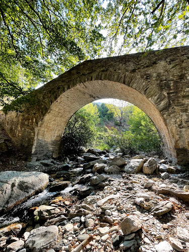 Comentarii opinii despre South Evia Tours