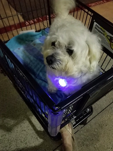 Grocery Store «Vons», reviews and photos, 27320 Alicia Pkwy, Laguna Niguel, CA 92677, USA