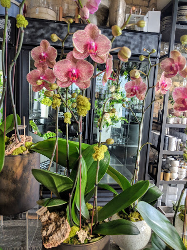Orchid Grower «Orchid Dynasty», reviews and photos, 959 900 S, Salt Lake City, UT 84105, USA