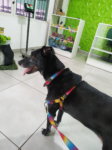 Centro Veterinário Presaniuk em Suzano - SP