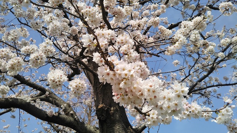 寺尾中央公園