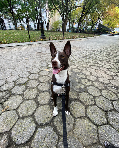Park «Madison Square Park», reviews and photos, 11 Madison Ave, New York, NY 10010, USA
