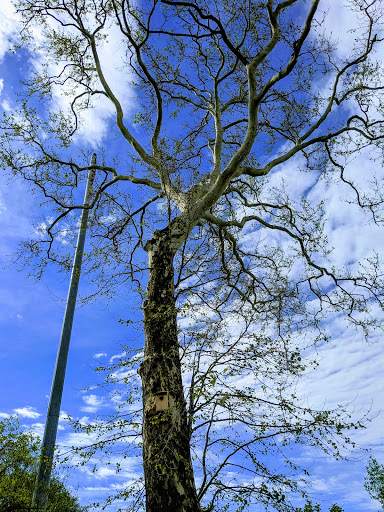 Park «Dr. James A. Dillon Park», reviews and photos, 6001 Edenshall Ln, Noblesville, IN 46060, USA