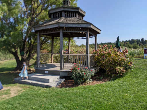 Winery «Nashoba Valley Winery», reviews and photos, 100 Wattaquadock Hill Rd, Bolton, MA 01740, USA
