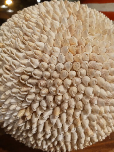 Home Improvement Store «Found Objects», reviews and photos, 512 NE 3rd St, McMinnville, OR 97128, USA