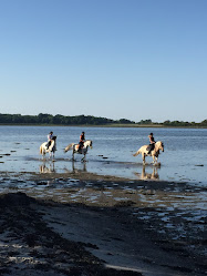 Sportsrideklubben Bogø