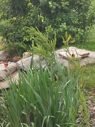 Private Golf Course «Fox Run Golf Club», reviews and photos, 1 Putt Ln, Eureka, MO 63025, USA