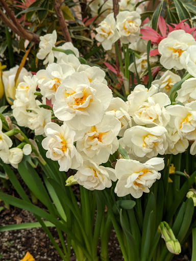 Performing Arts Theater «Lincoln Center for the Performing Arts», reviews and photos, 10 Lincoln Center Plaza, New York, NY 10023, USA