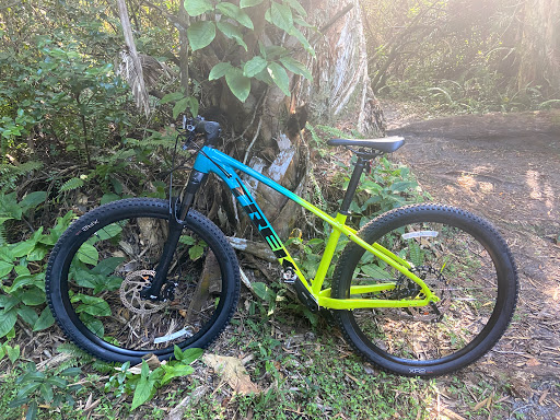 Bicycle Store «Trek Bicycle Store», reviews and photos, 1621 E Sunrise Blvd, Fort Lauderdale, FL 33304, USA