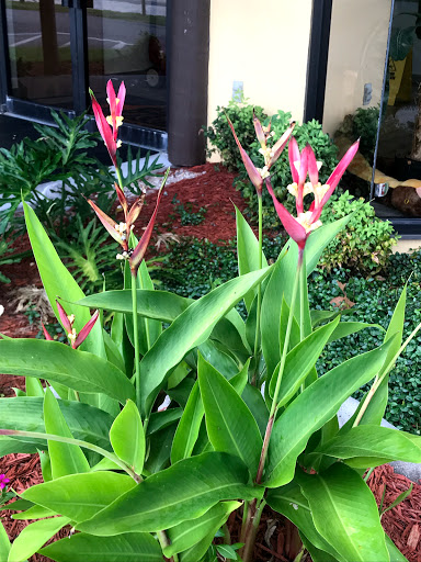 Zoo «Gulf Breeze Zoo», reviews and photos, 5701 Gulf Breeze Pkwy, Gulf Breeze, FL 32563, USA