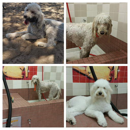 Pet Supply Store «Pet Food Express», reviews and photos, 9153 W Olympic Blvd, Beverly Hills, CA 90212, USA