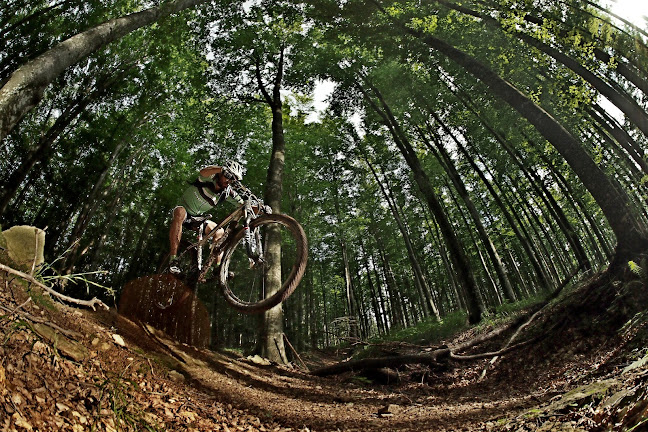 RoMountainbike