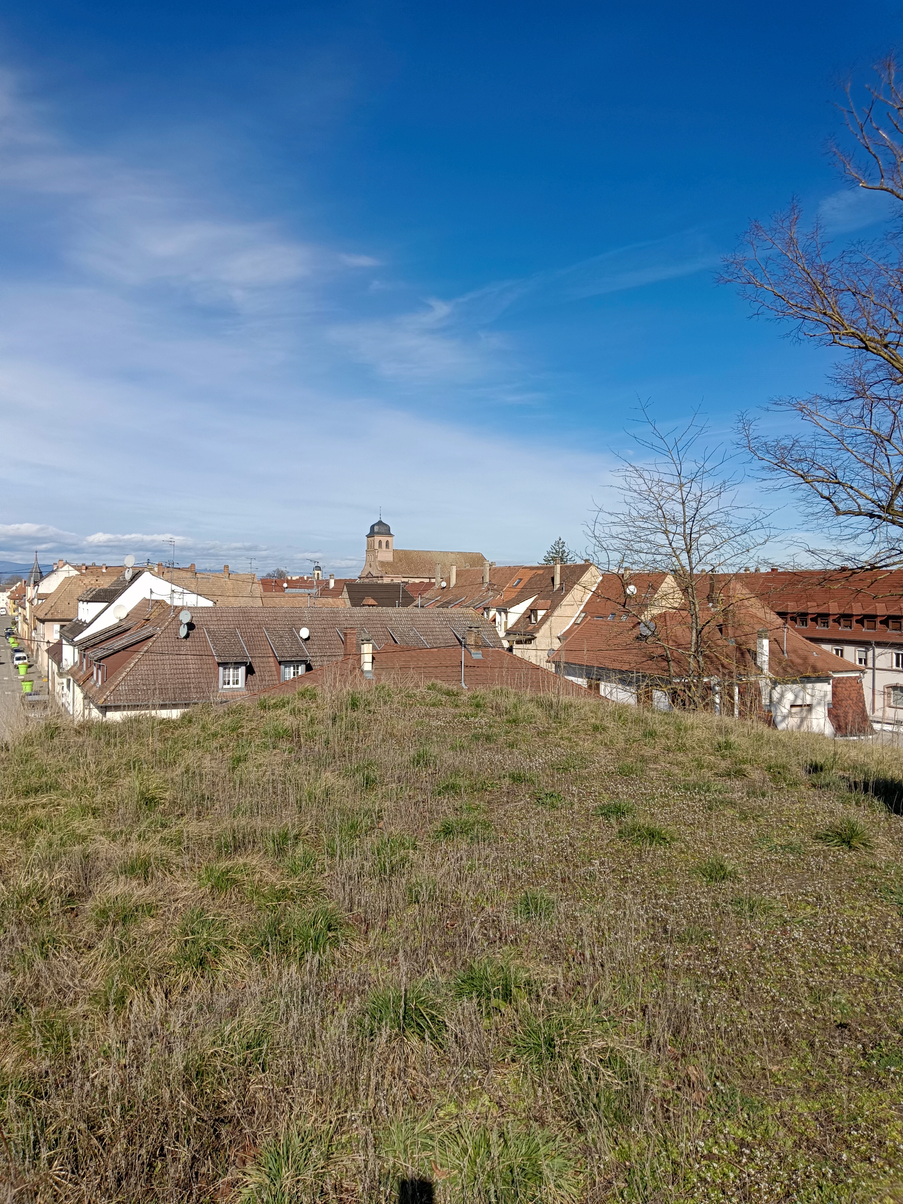Photo n° 3 de l'avis de Marie-Pierre.E fait le 07/03/2024 à 09:42