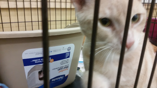 Pet Supply Store «Pet Supplies Plus», reviews and photos, 311 Sagamore Pkwy N, Lafayette, IN 47904, USA