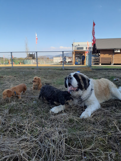 ＤＯＧ Ｐａｒｋ 福光（ドッグパークふくみつ）