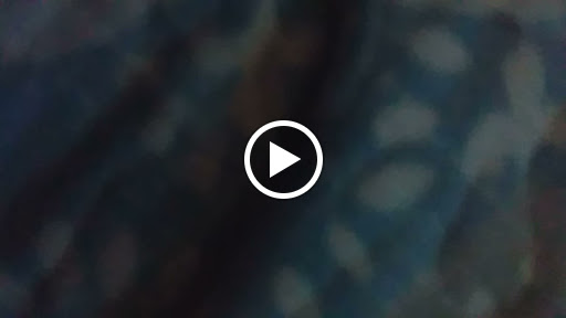 Furniture Store «Good Deal Furniture», reviews and photos, 1544 International Blvd, Oakland, CA 94606, USA