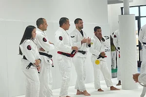 Overcome Brazilian jiu-jitsu school image
