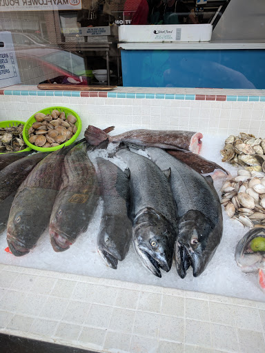 Seafood Market «New Deal Fish Market», reviews and photos, 622 Cambridge St, Cambridge, MA 02141, USA
