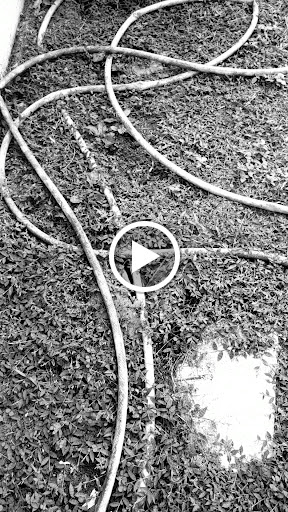 Supermarket «Publix Super Market at Rockledge Square», reviews and photos, 1880 US-1, Rockledge, FL 32955, USA