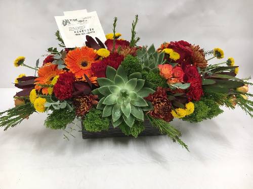 Florist «McShan Florist, Inc.», reviews and photos, 10311 Garland Rd, Dallas, TX 75218, USA