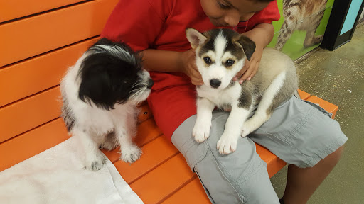 Pet Supply Store «PetSmart», reviews and photos, 2525 W Wheatland Rd, Dallas, TX 75237, USA