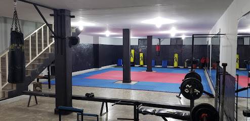 Escuela de Karate y Artes Marciales Leones