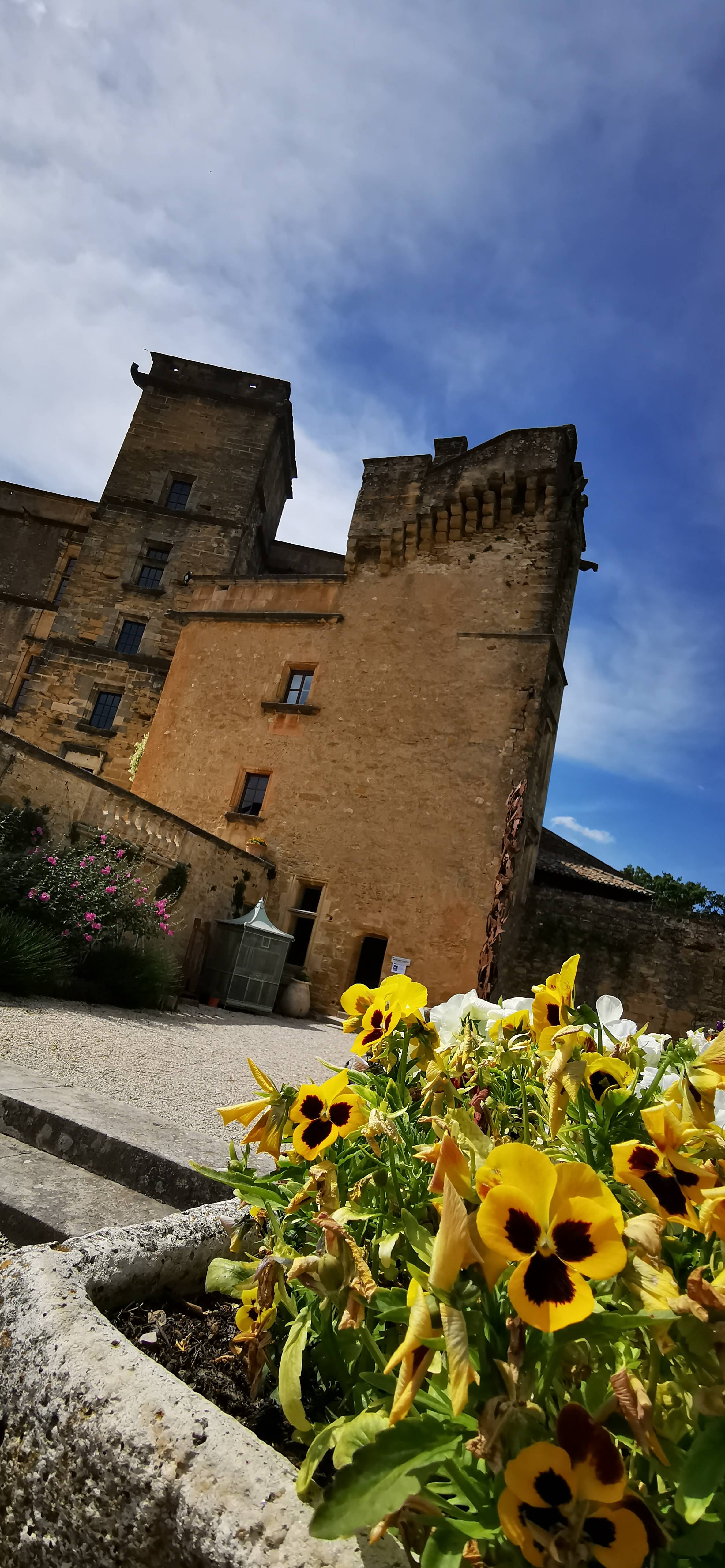 Photo n° 14 de l'avis de Bernard.U fait le 29/05/2021 à 05:58