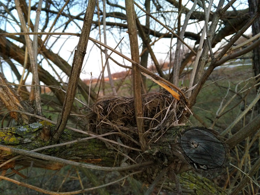 Nature Preserve «DeVries Nature Conservancy», reviews and photos, 2635 N Michigan 52, Owosso, MI 48867, USA