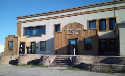 Veterinary Hospital De Mont Laurier