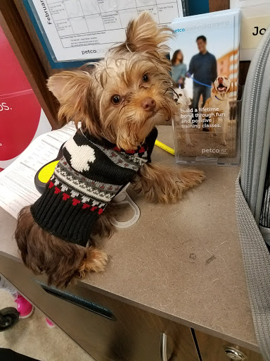 Pet Supply Store «Petco Animal Supplies», reviews and photos, 157-20 Cross Bay Blvd, Howard Beach, NY 11414, USA