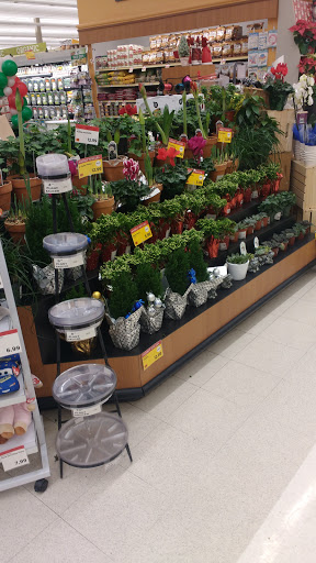 Supermarket «Roche Bros. Quincy», reviews and photos, 101 Falls Blvd #3, Quincy, MA 02169, USA