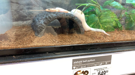 Pet Supply Store «Petco Animal Supplies», reviews and photos, 1341 W Covell Blvd b, Davis, CA 95616, USA