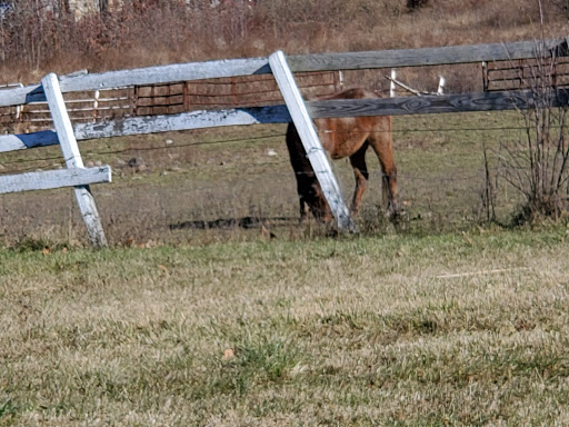 Tobacco Shop «Towne Centre Smoke Shop», reviews and photos, 1588 Union Valley Rd # B, West Milford, NJ 07480, USA