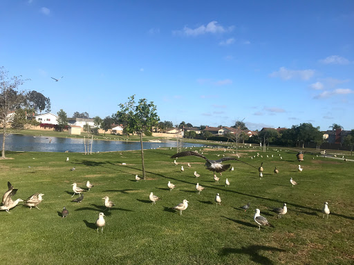 Park «Greer Park», reviews and photos, 6900 W McFadden Ave, Huntington Beach, CA 92647, USA