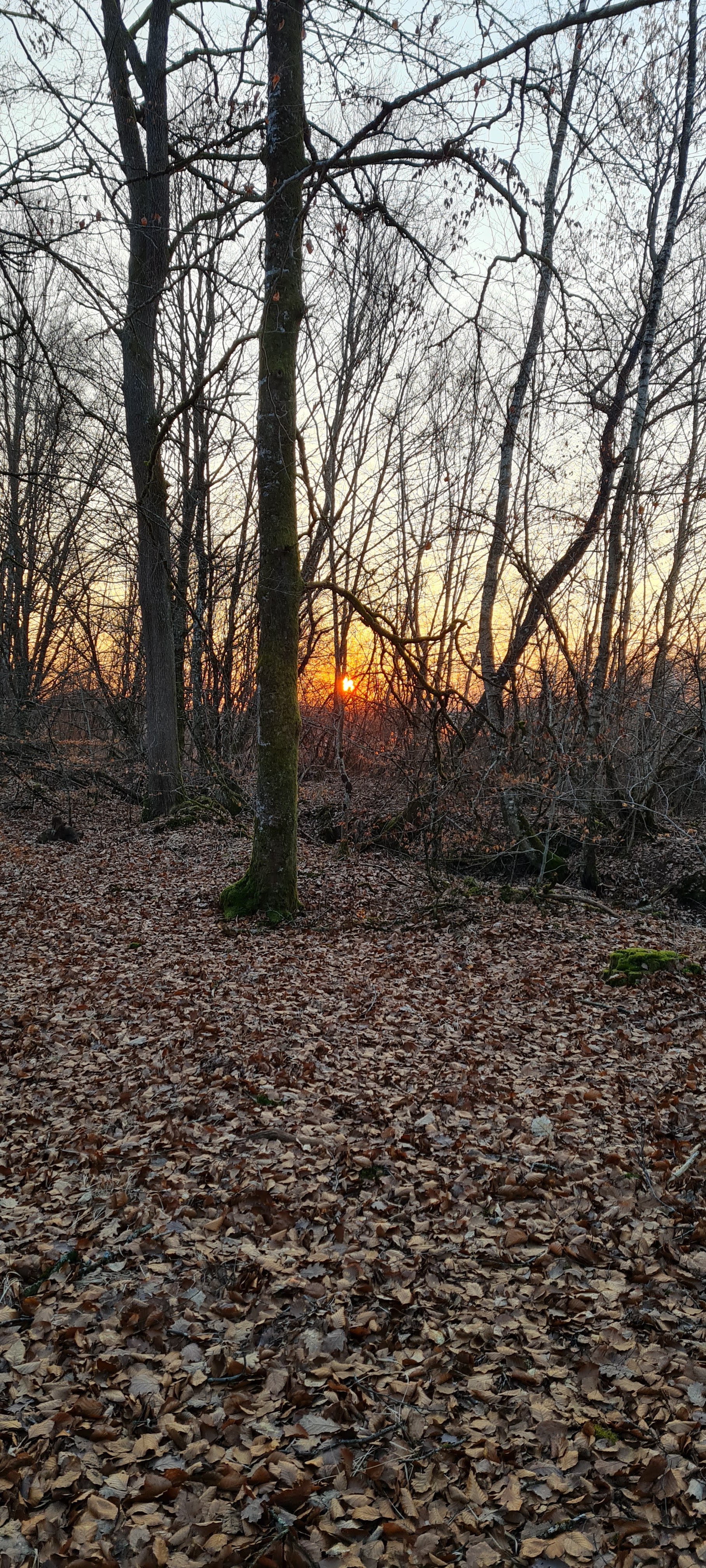 Photo n° 1 de l'avis de Christophe.U fait le 13/03/2023 à 21:25