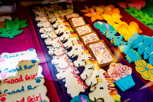 Pet Supply Store «Earth Pets Natural Pet Market», reviews and photos, 500 NW 60th St # F, Gainesville, FL 32607, USA