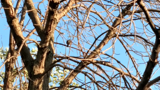 Park «Marquette Park», reviews and photos, 6743 S Kedzie Ave, Chicago, IL 60629, USA