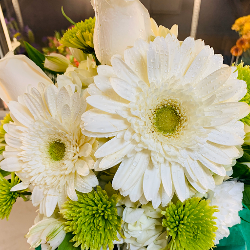 Florist «Capitol Florist», reviews and photos, 409 3rd St SW, Washington, DC 20024, USA