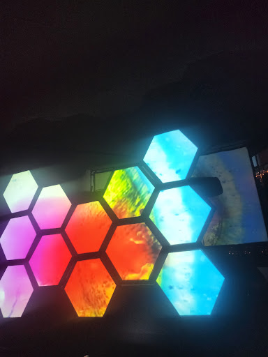 Live Music Venue «State Street Pub», reviews and photos, 243 N State Ave, Indianapolis, IN 46201, USA