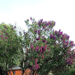 Photo n°10 de l'avis de Radek.a fait le 02/05/2024 à 12:22 sur le  Hotel & Pension Zum Birnthaler à Kallmünz