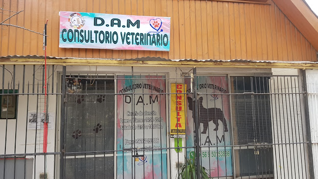 Consultorio Veterinario DAM