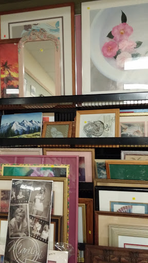 Thrift Store «SPCA Thrift Shop», reviews and photos, 4220 S Washington Ave, Titusville, FL 32780, USA