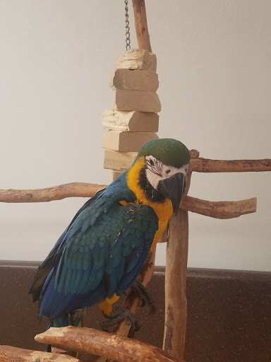 Bird Shop «Wholesale Bird & Cage LLC», reviews and photos, 1805 Ford Ln, St Charles, MO 63303, USA