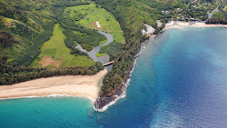 Lumaha'i Beach'in fotoğrafı vahşi alan