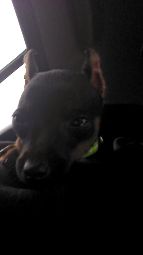 Pet Supply Store «Petco Animal Supplies», reviews and photos, 1450 Twixt Town Rd, Marion, IA 52302, USA