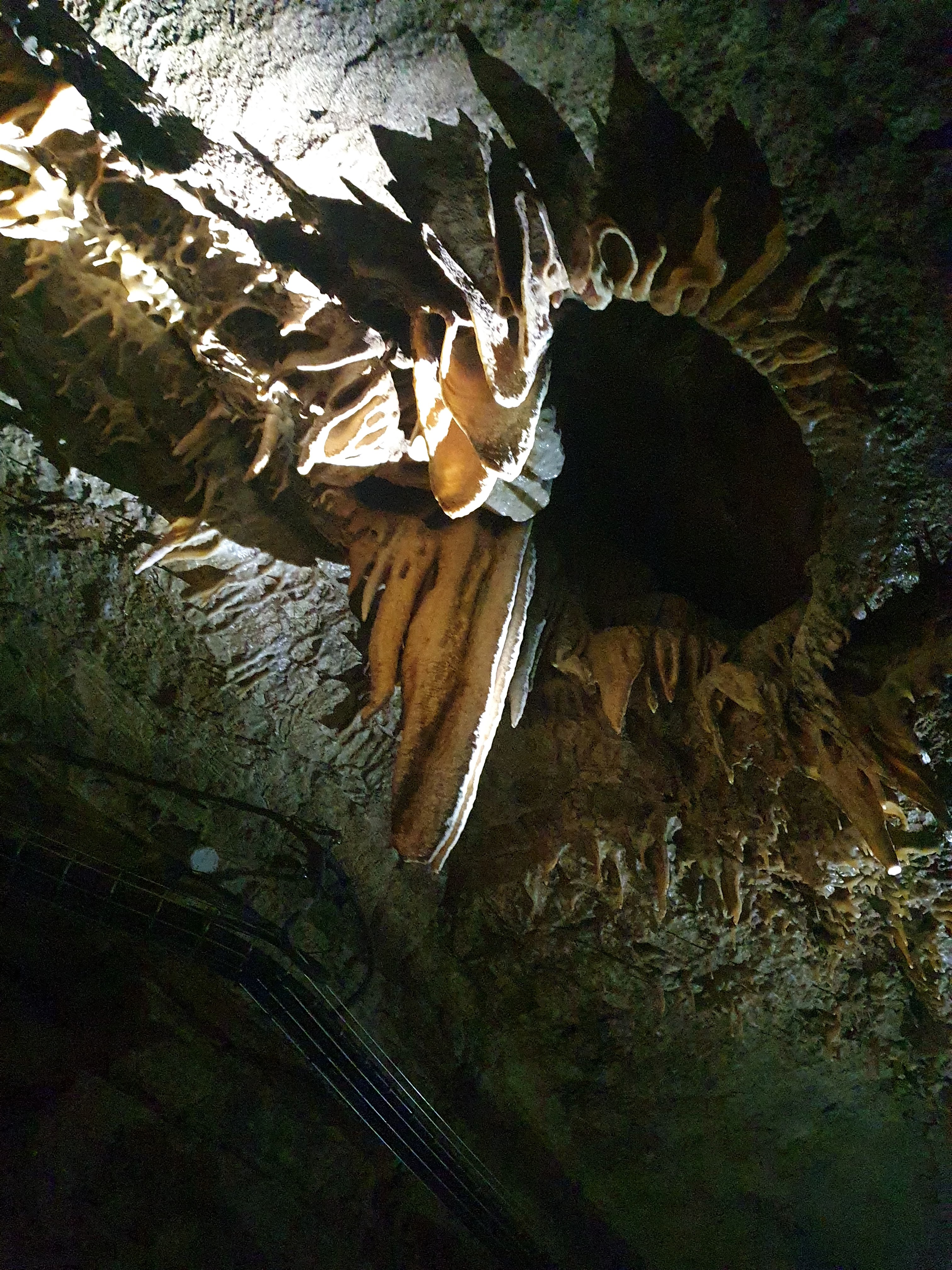 Photo n° 2 de l'avis de N.a fait le 10/07/2022 à 15:22