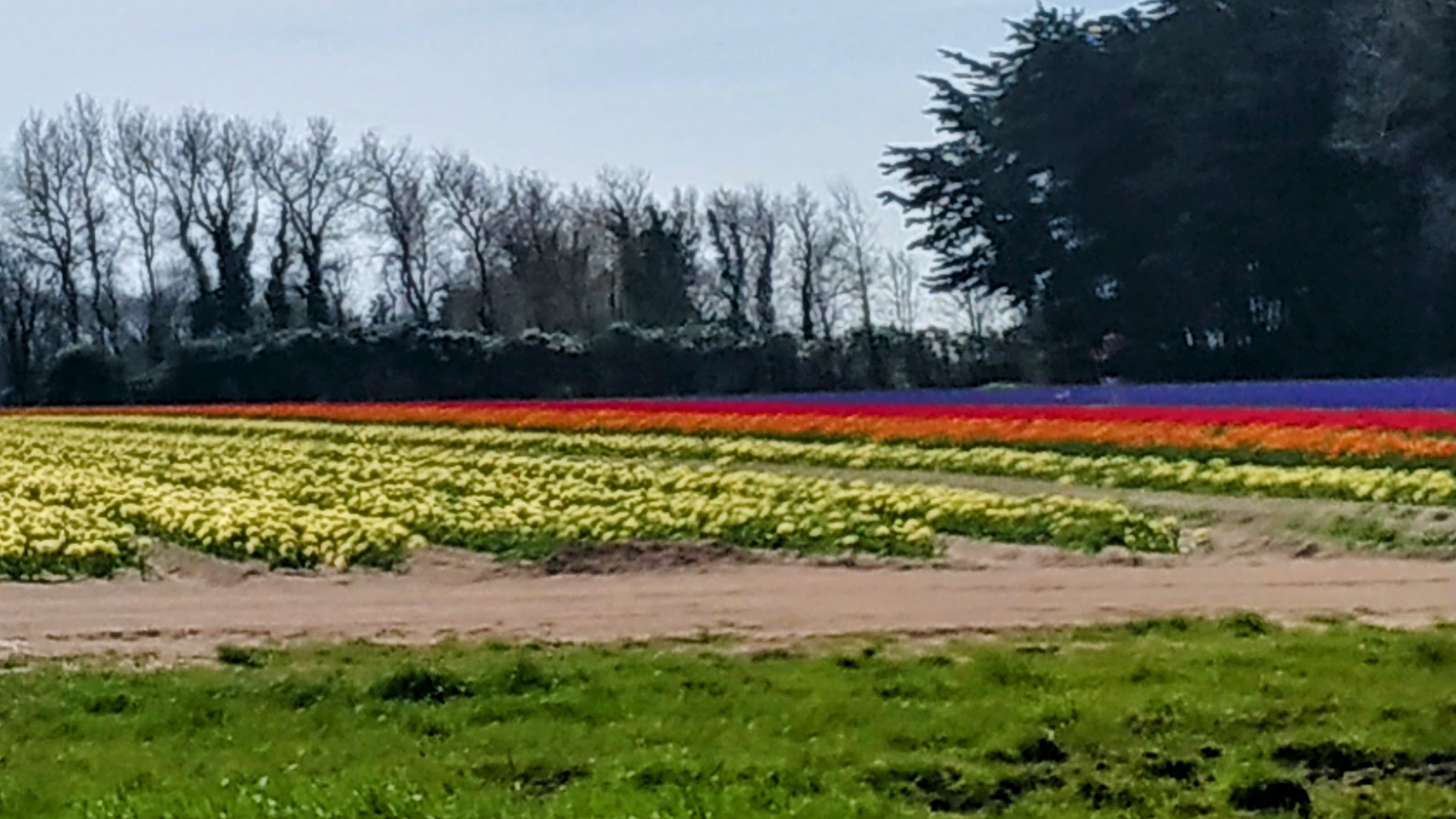 Photo n° 31 de l'avis de The.a fait le 05/04/2023 à 21:57