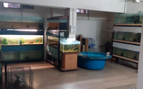 JAL Aquariums & Pet Consultants image