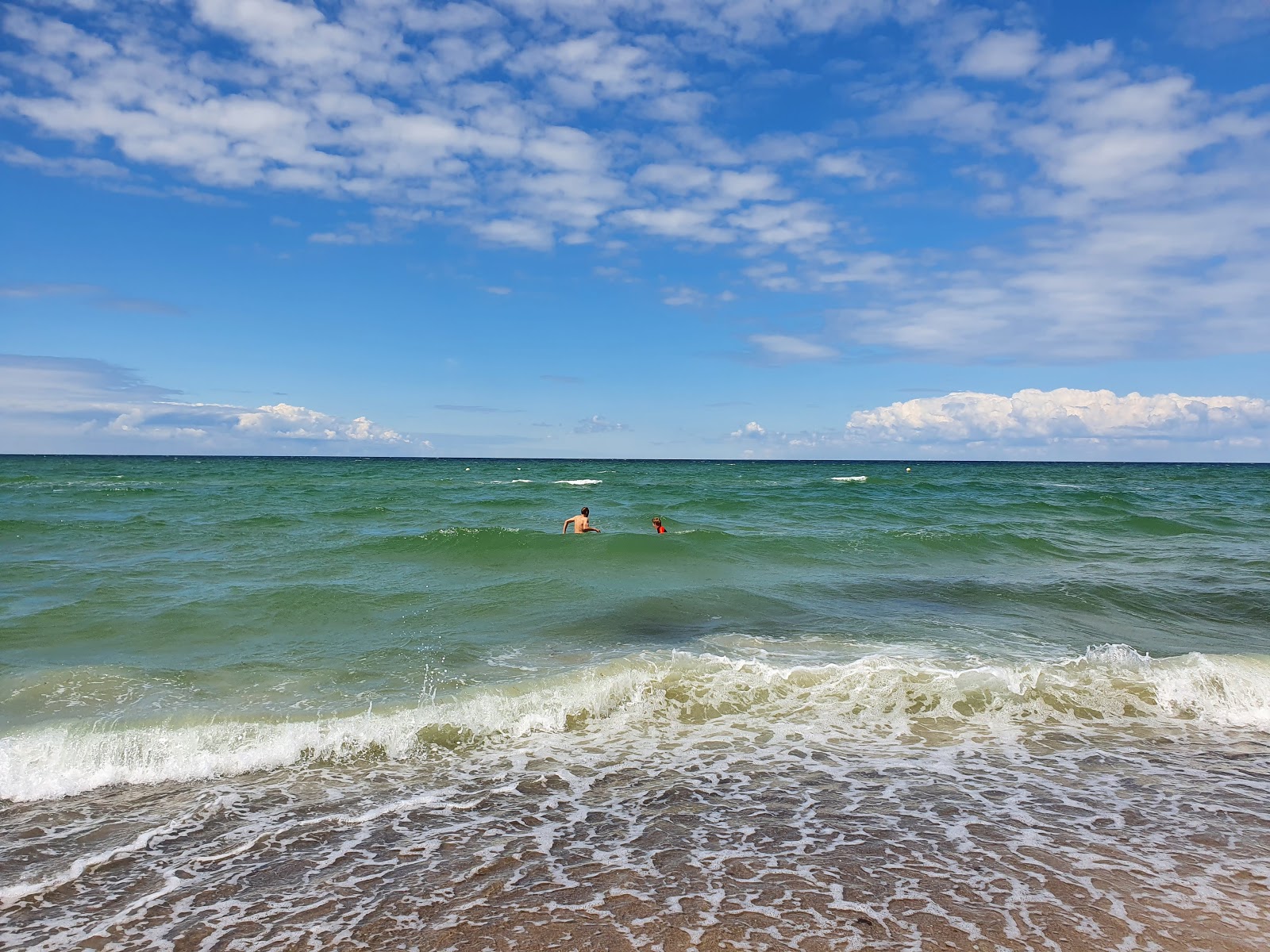 Foto de Dierhagen Strand con recta y larga