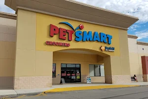 PetSmart image